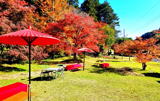 伽耶院の紅葉祭りに出店します。